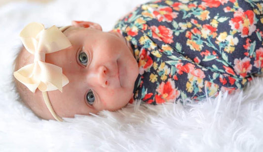 Solid Bow Set with Nylon Headbands