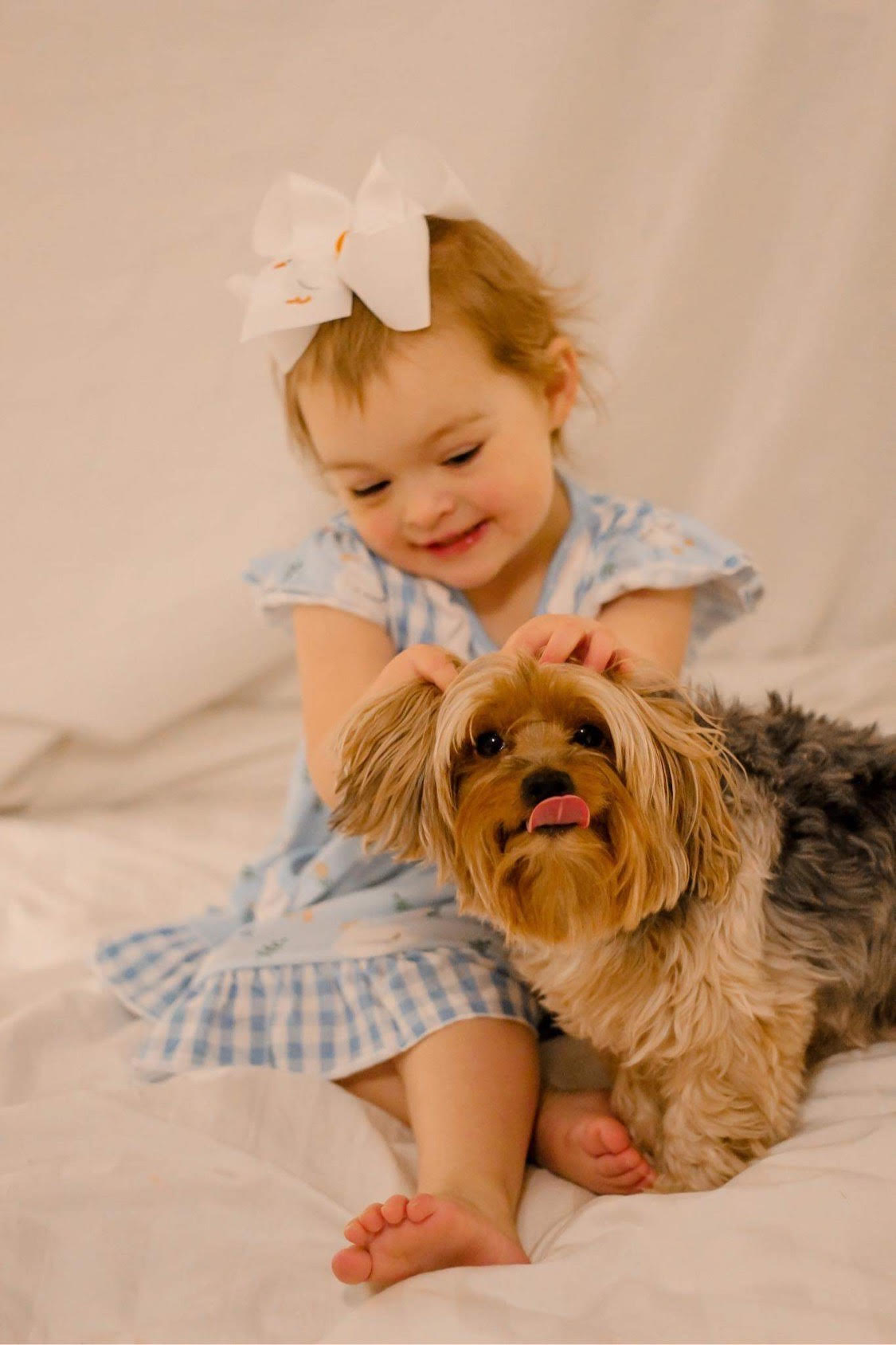 Goose Embroidered Bow